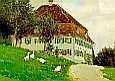 Bild von Paul Hey